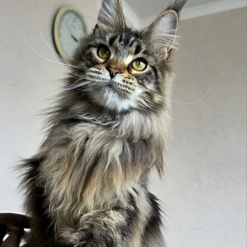 Hanna