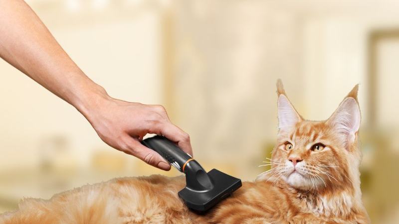 Уход за шерстью