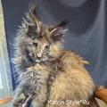 Balerina Katrin Style*Ru