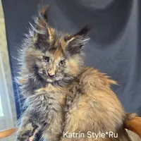Balerina Katrin Style*Ru