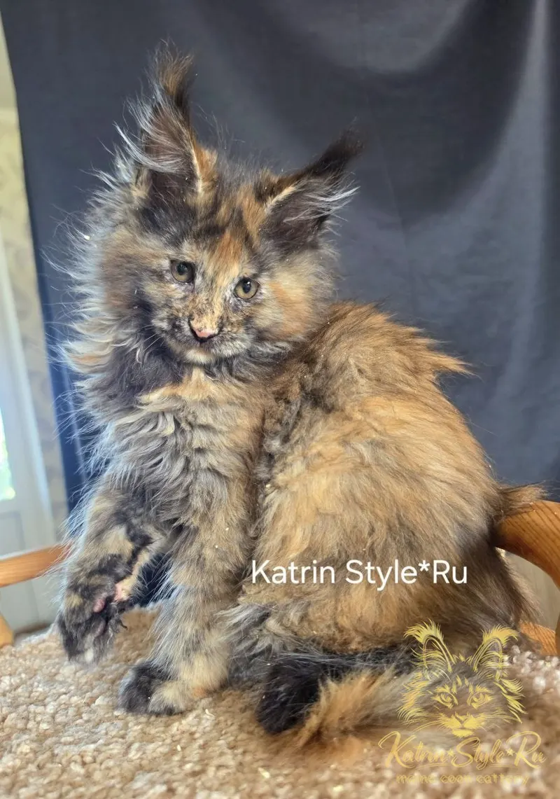 Balerina Katrin Style*Ru